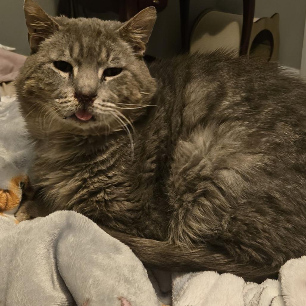 Richie — thumbnail 3