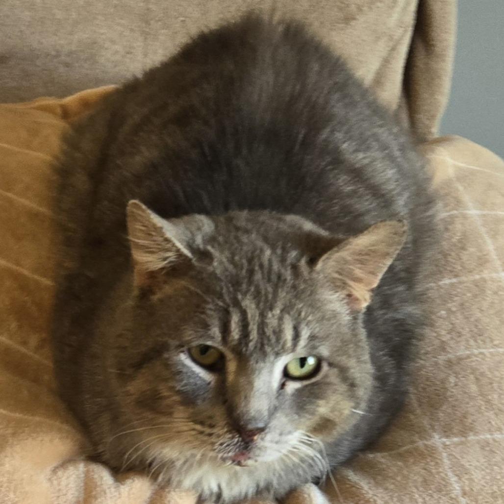 Richie — thumbnail 4