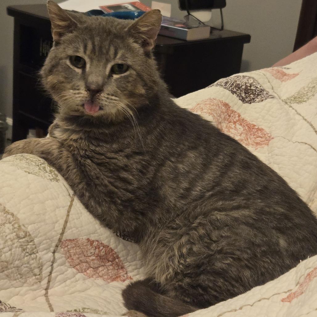 Richie — thumbnail 5