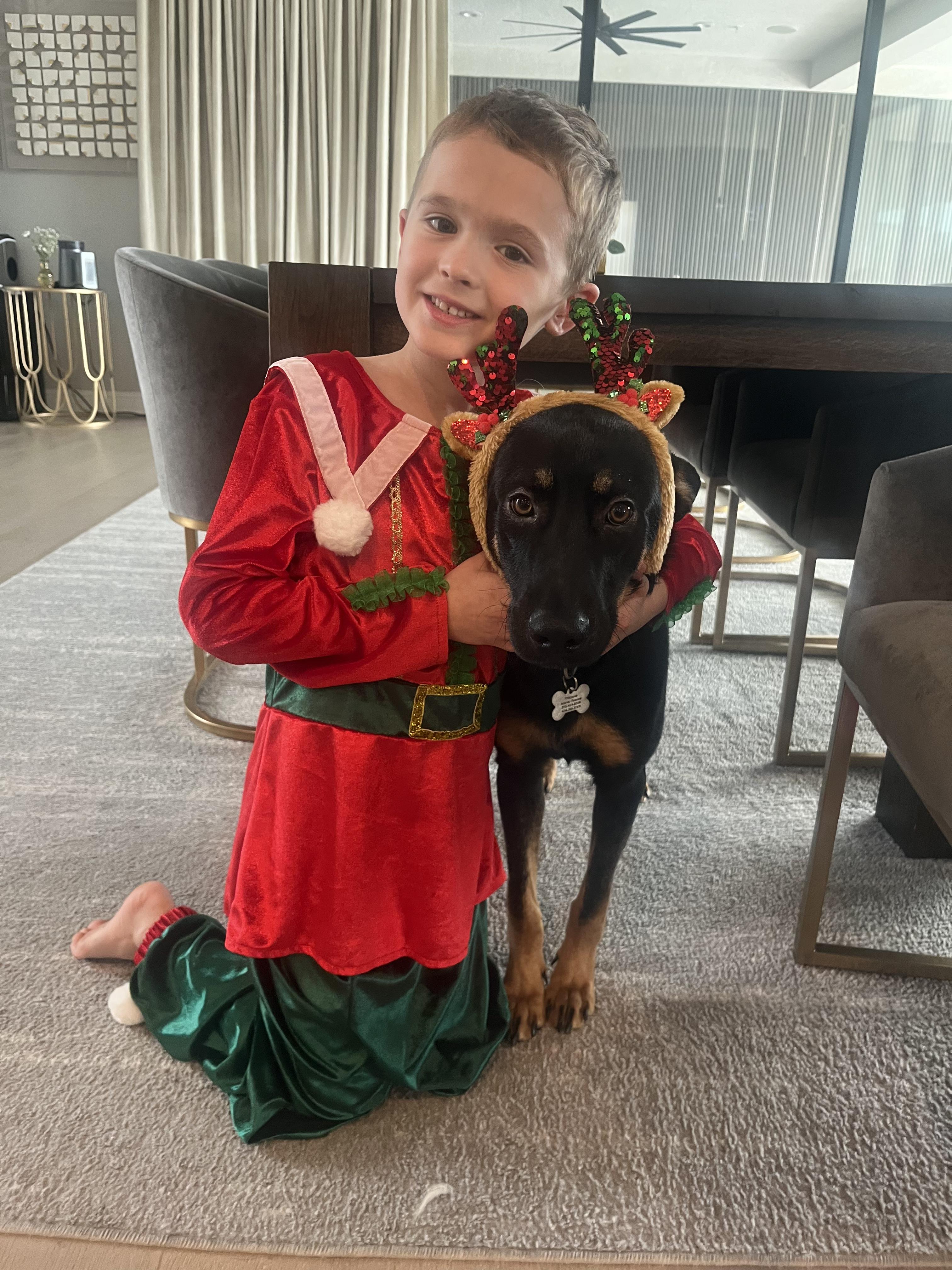 Iggy, a Adoptable German Shepherd Dog in Thousand Oaks, CA image 3/5