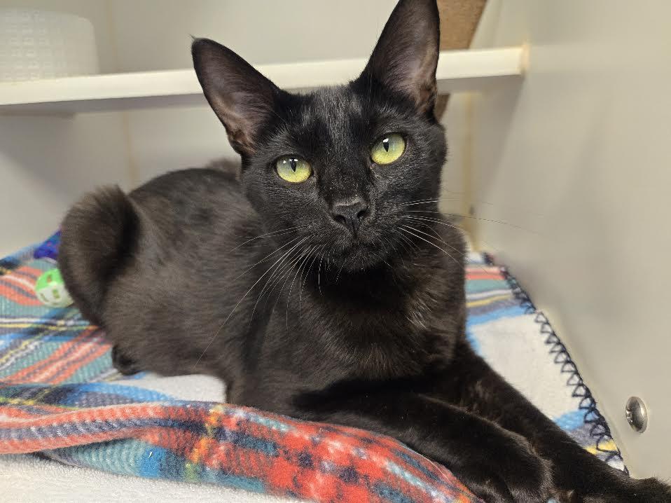 Photo of Morticia