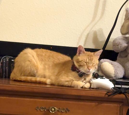 Fergus