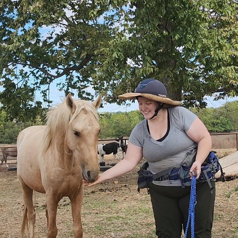 Enlarge Lucky, a Adoptable Missouri Foxtrotter in Willard, MO image 4/6