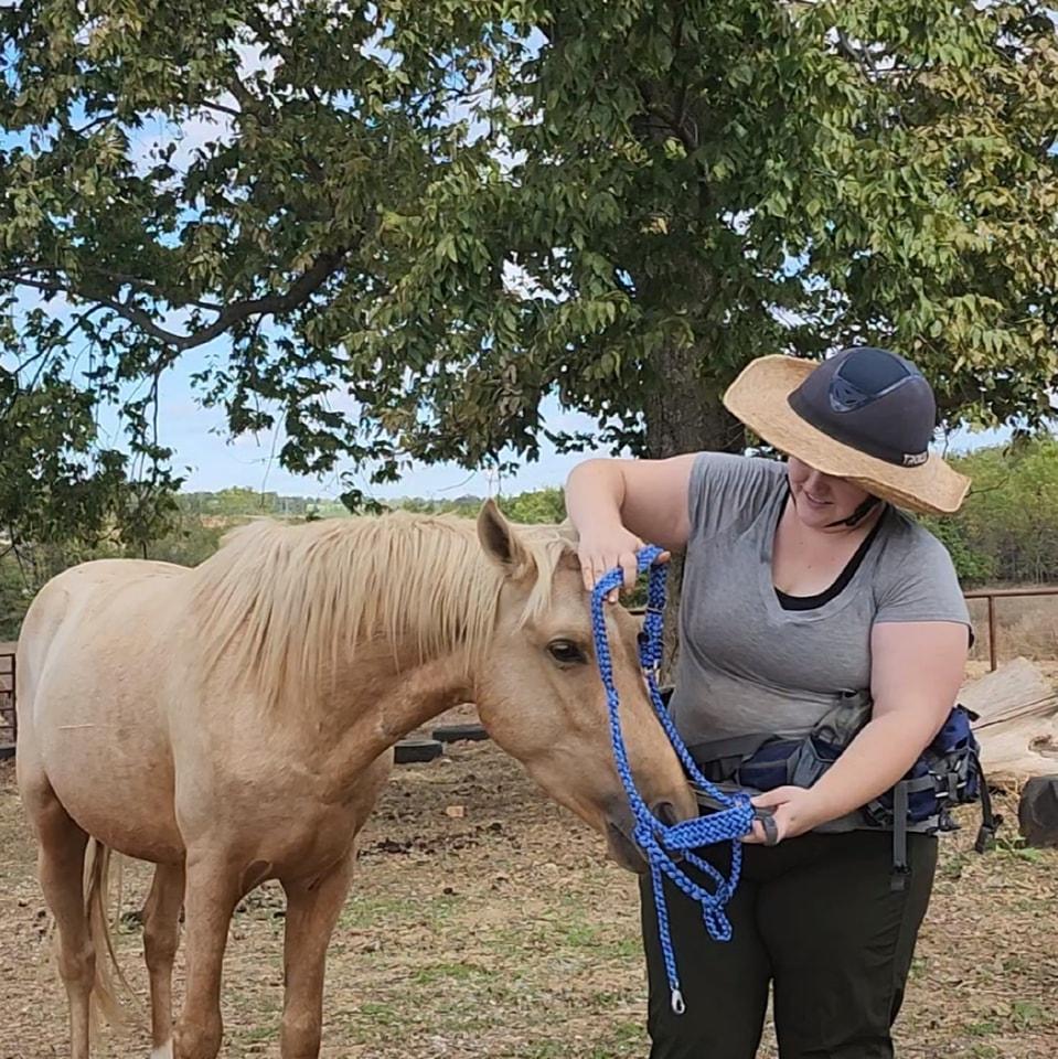 Enlarge Lucky, a Adoptable Missouri Foxtrotter in Willard, MO image 3/6