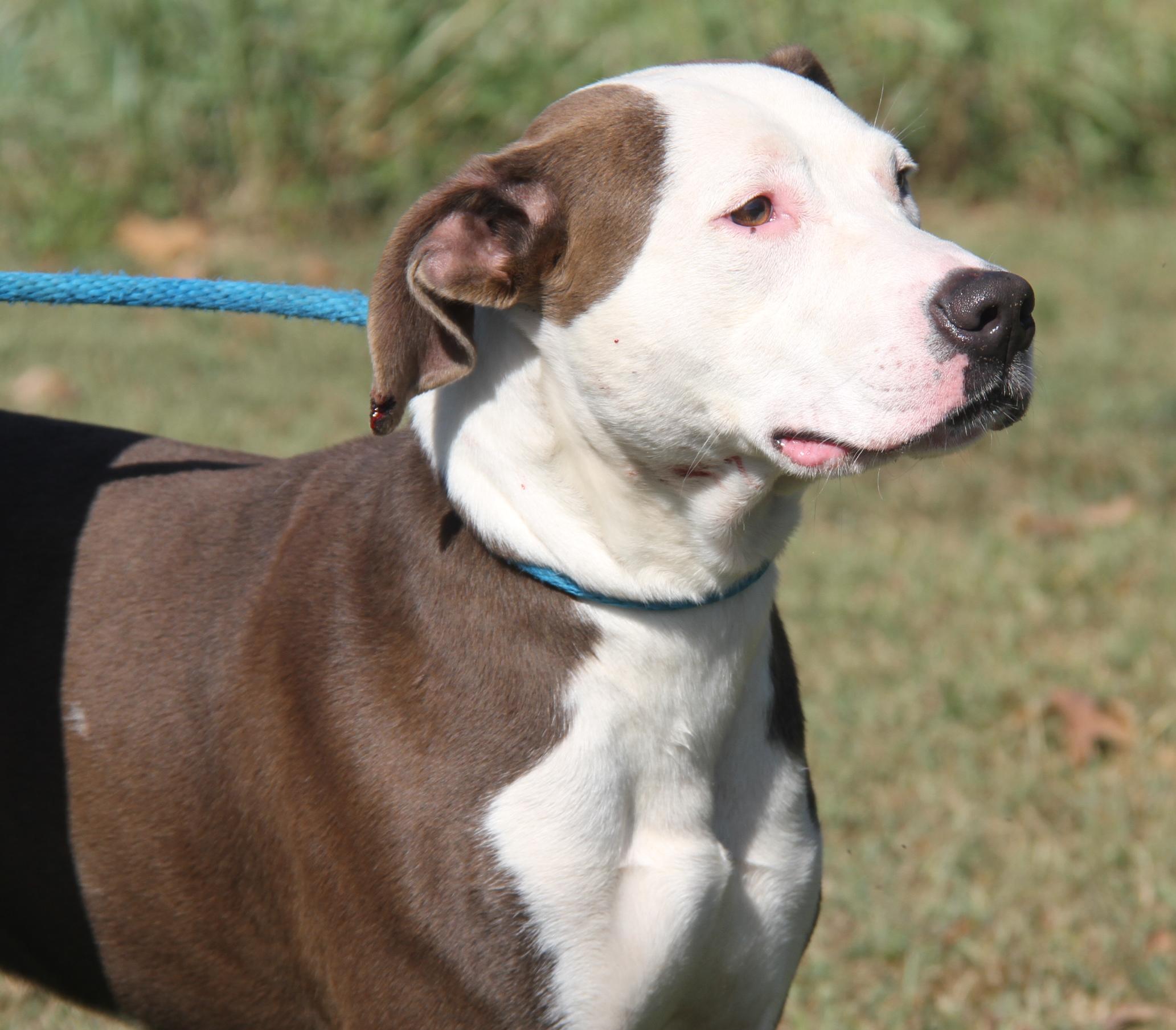 Finn Fka Snickers thumbnail 3