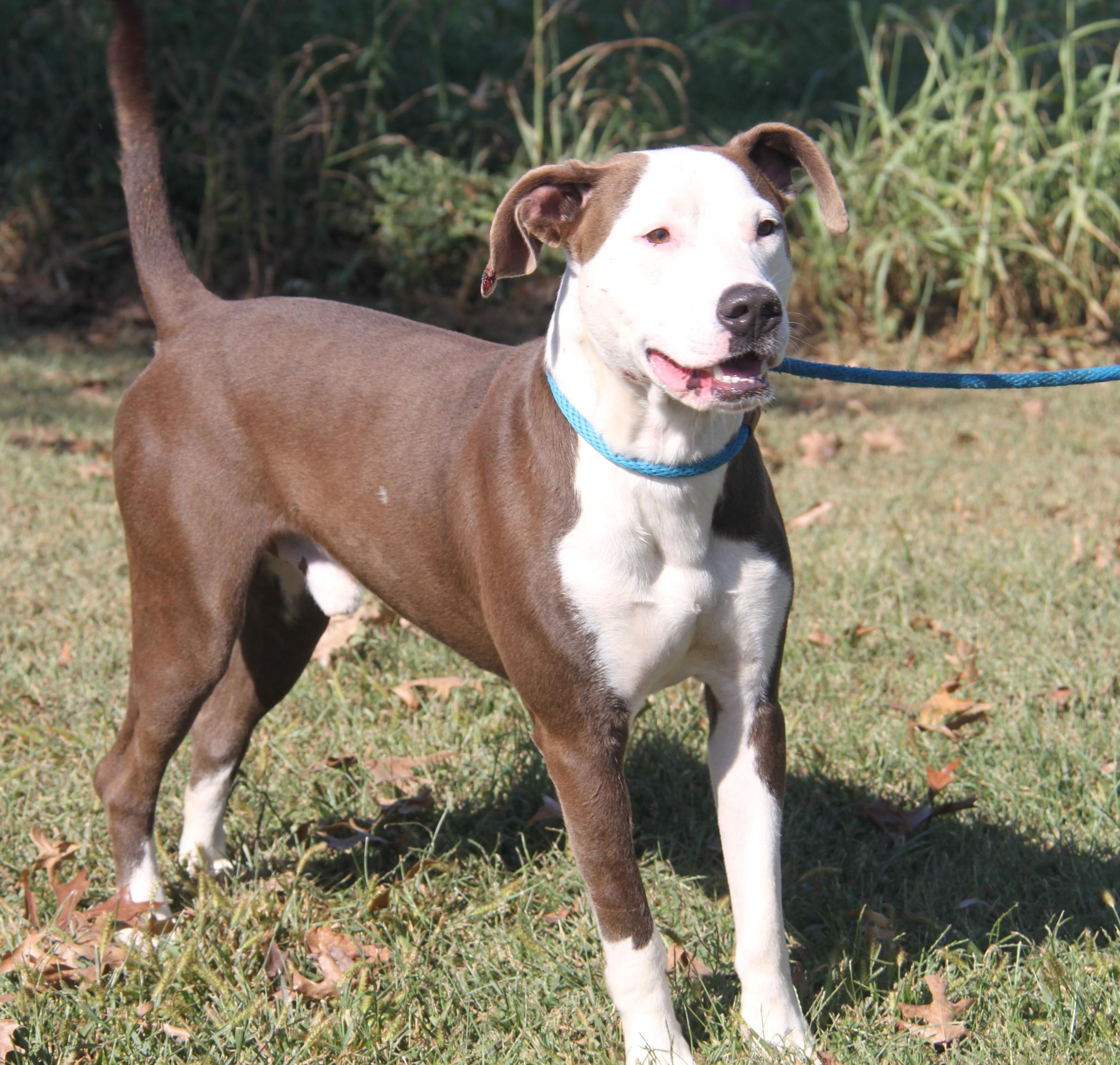 Finn Fka Snickers thumbnail 4