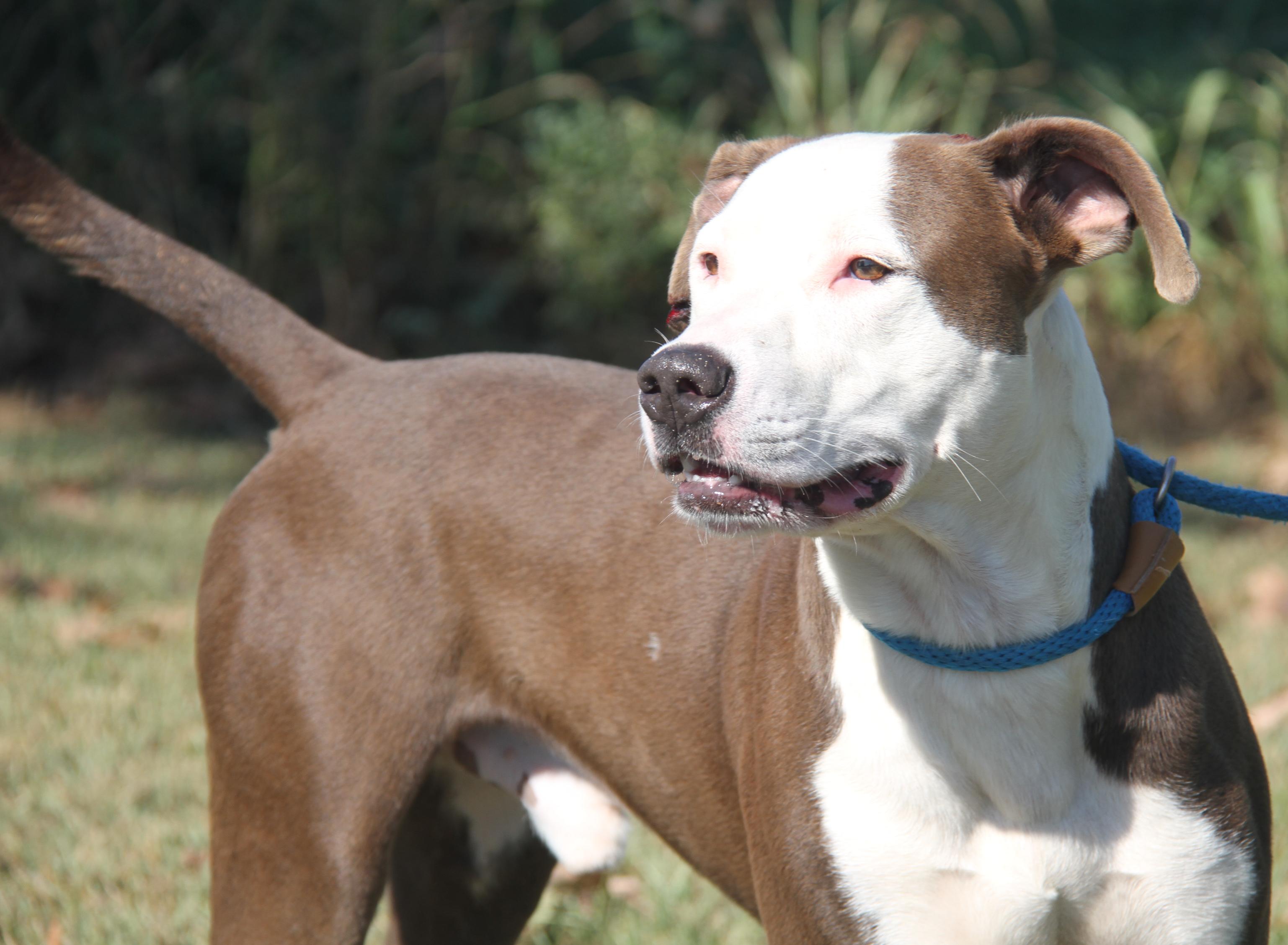 Finn Fka Snickers thumbnail 7