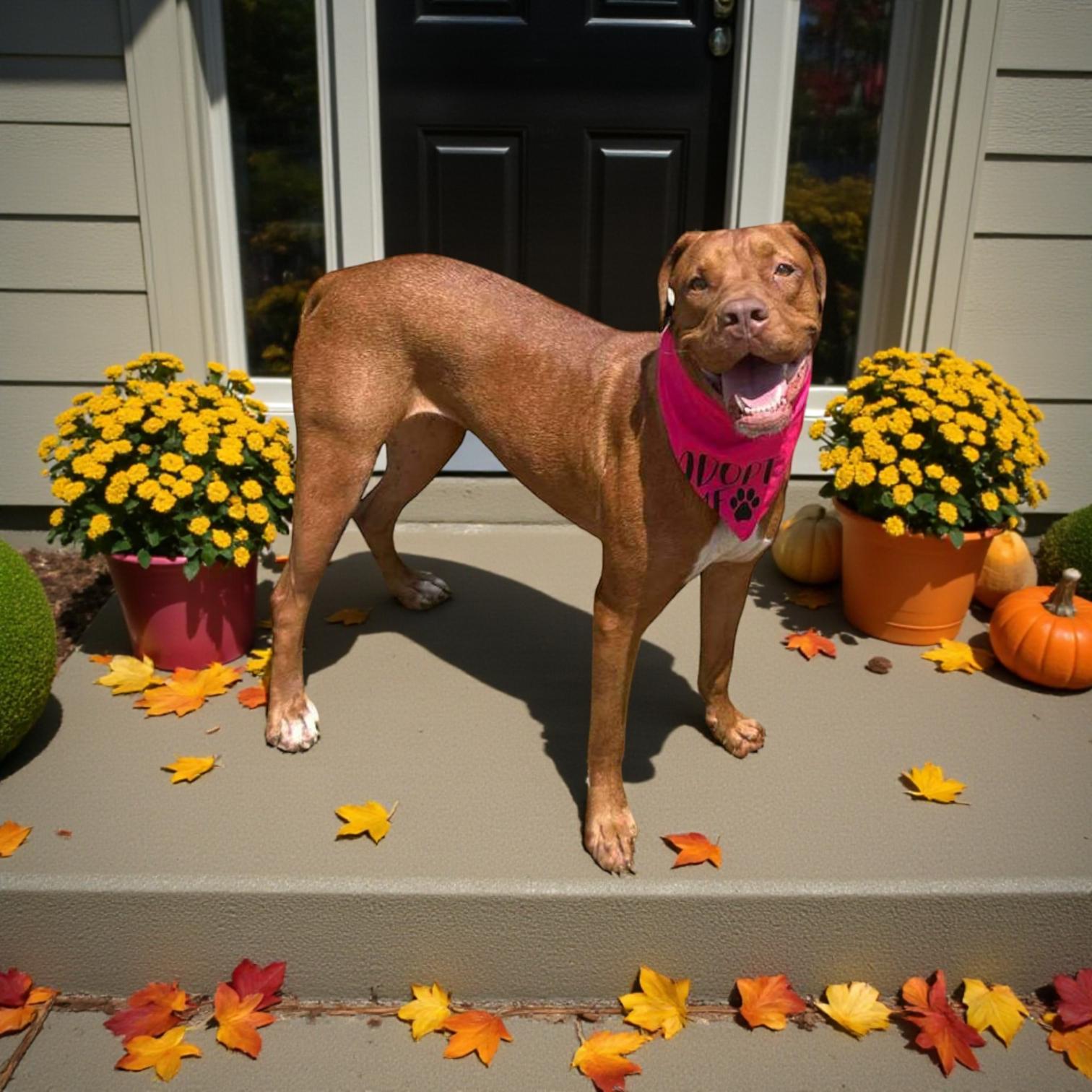 Valkyrie thumbnail 2