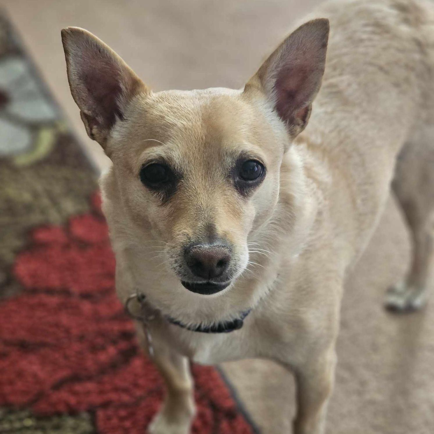 Max