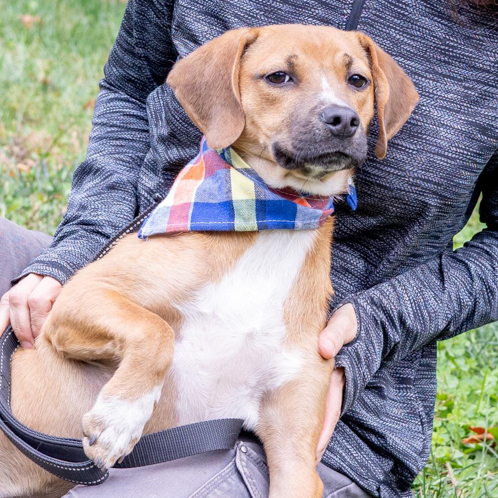 Aladdinavail thumbnail 3