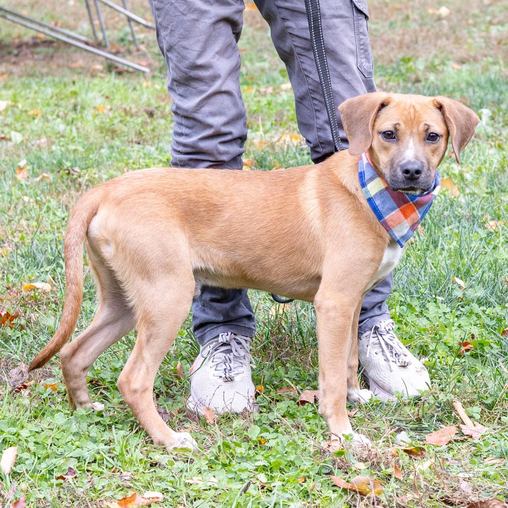 Aladdinavail thumbnail 2