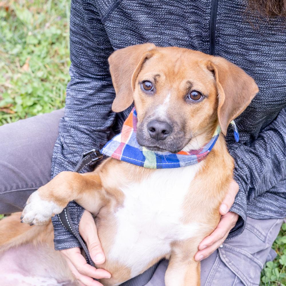 Aladdinavail thumbnail 5