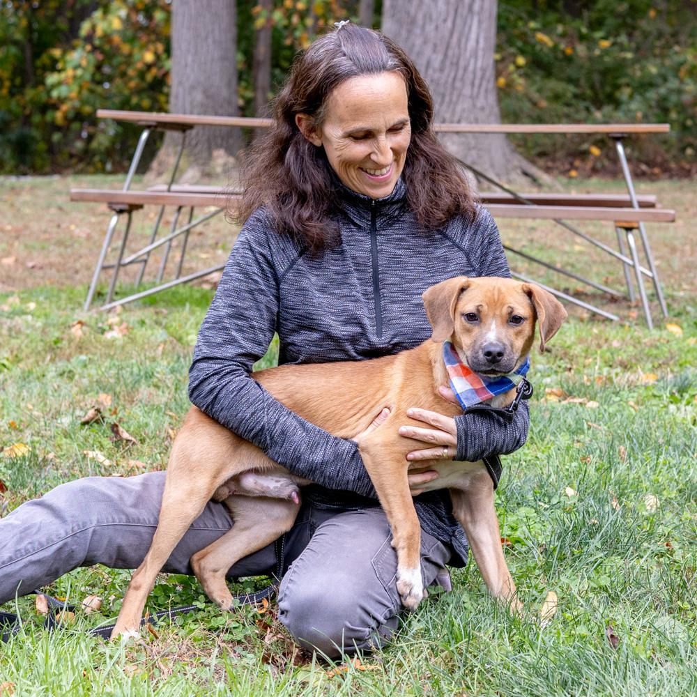 Aladdinavail thumbnail 4