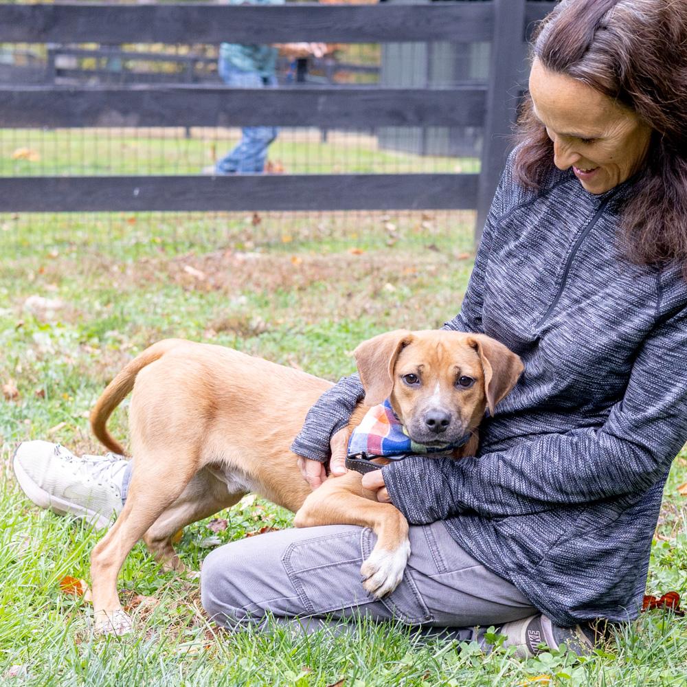 Aladdinavail thumbnail 6