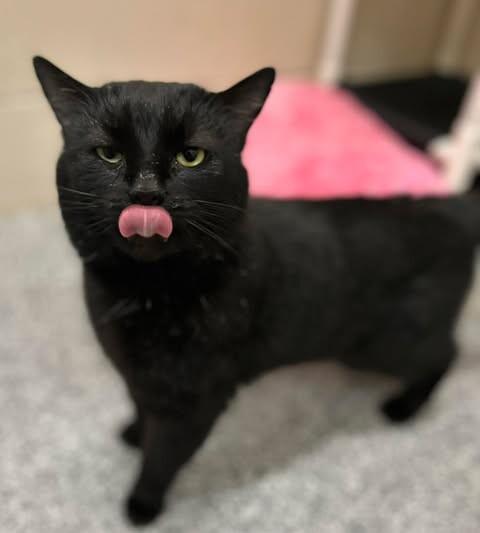 Jaden — thumbnail 2