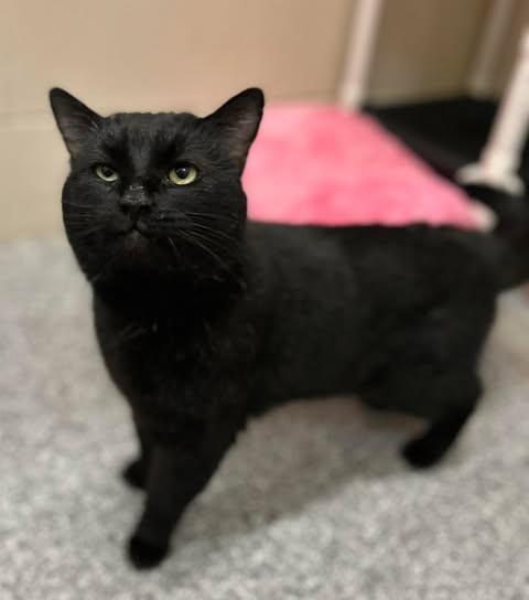 Jaden — thumbnail 6