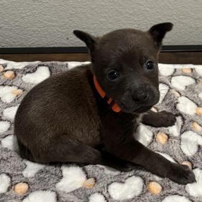 Samuel — thumbnail 2