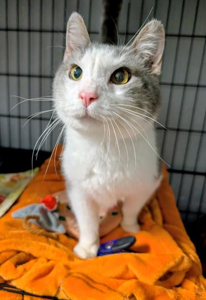 Tipsy — thumbnail 2