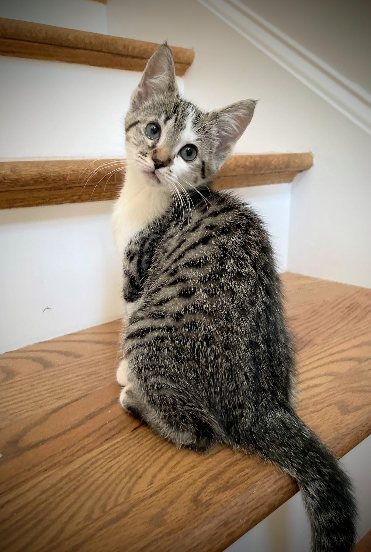 Smuckers thumbnail 3