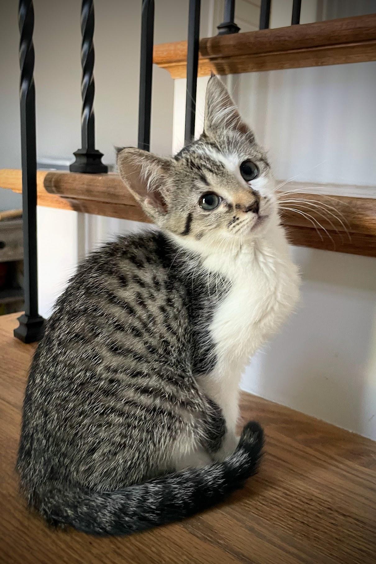 Smuckers thumbnail 2