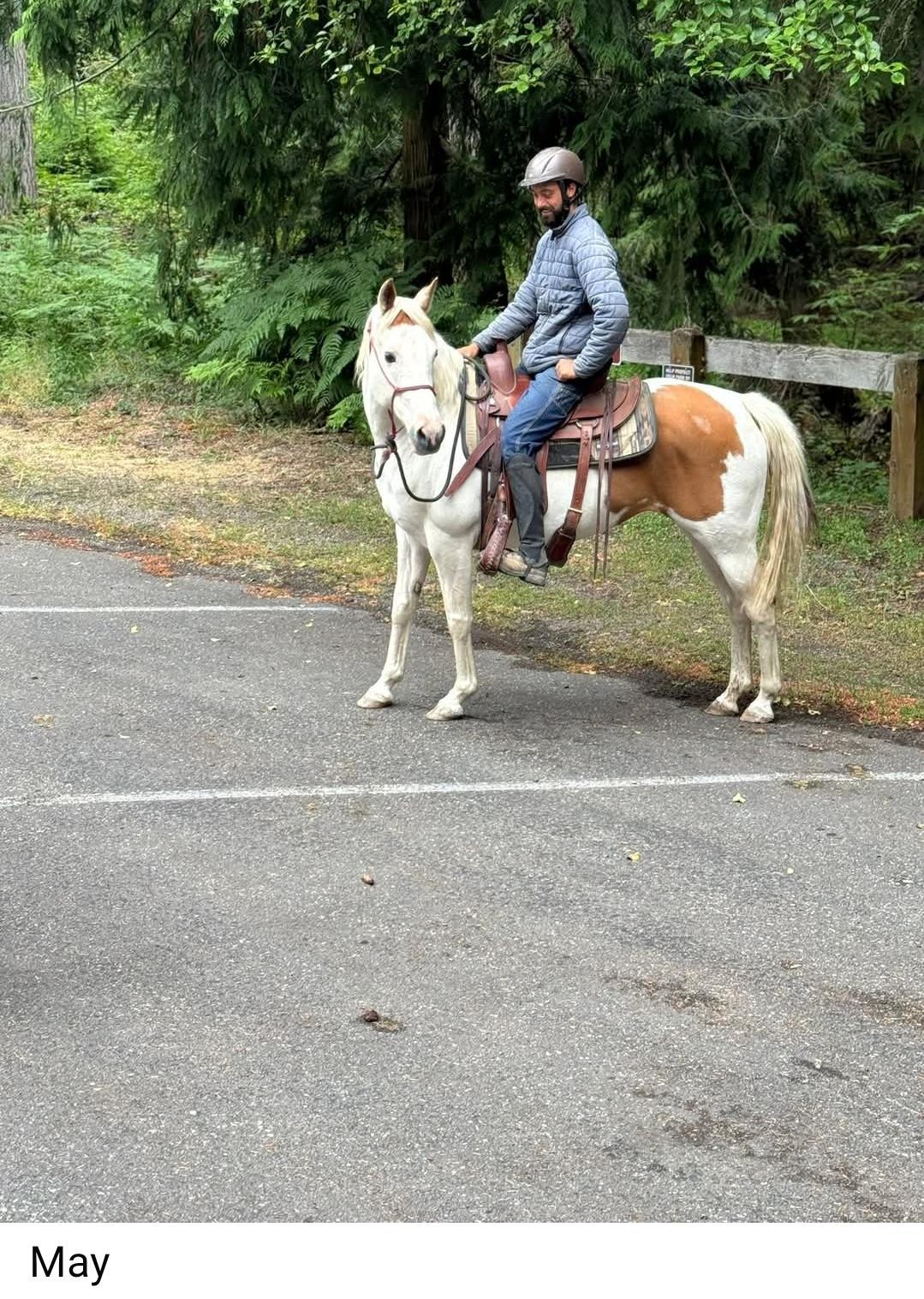 Enlarge May, a Adopted Paint / Pinto in Sequim, WA image 3/3