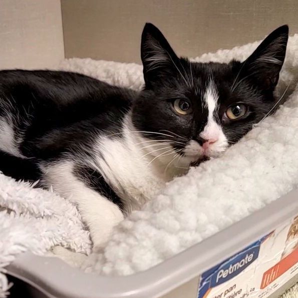 Zendaya — thumbnail 4