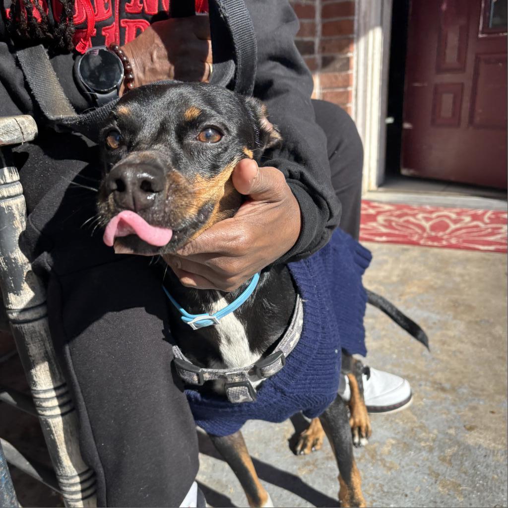 Paco — thumbnail 2