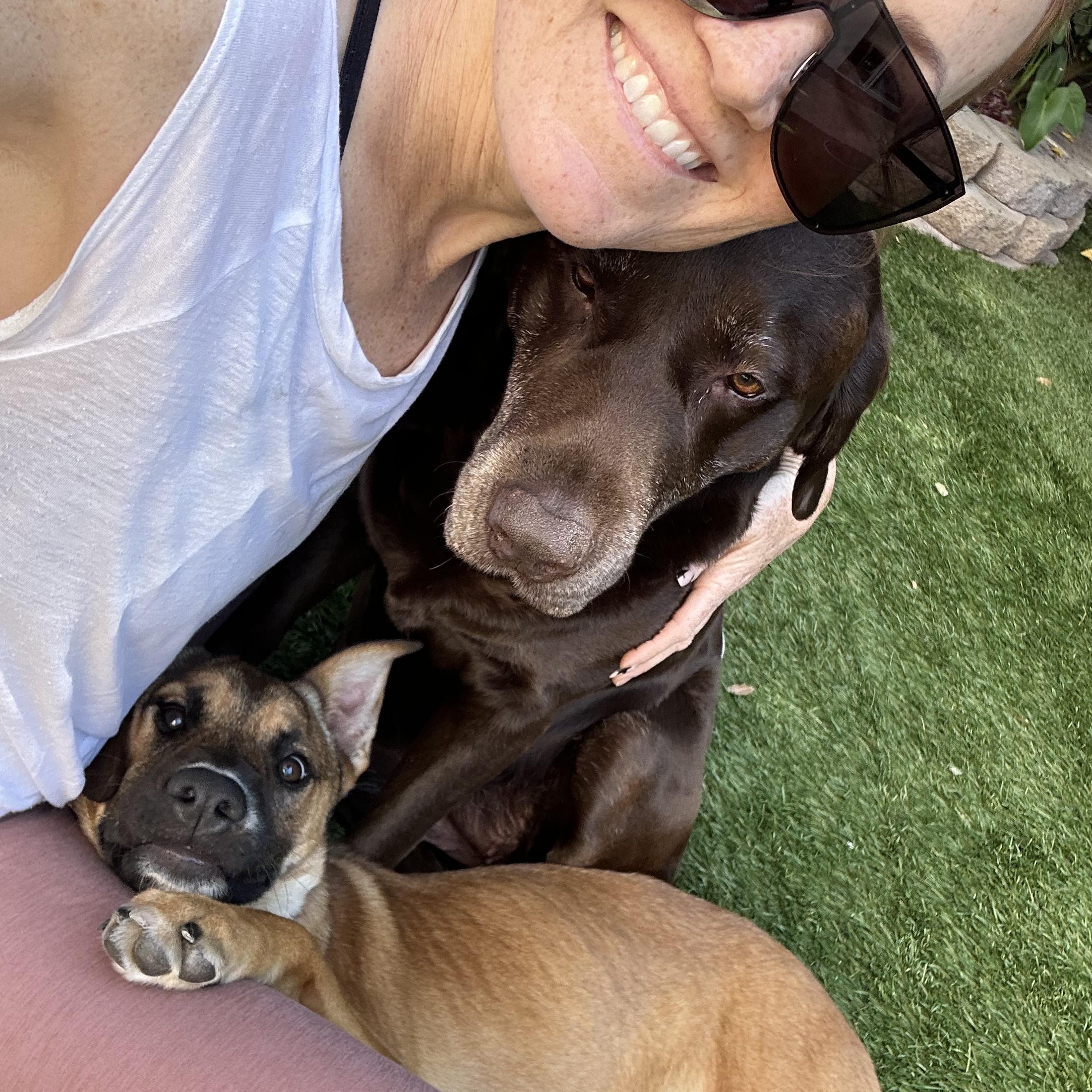 Enlarge INDIE!, a Adoptable mixed breed in San Deigo, CA image 4/6