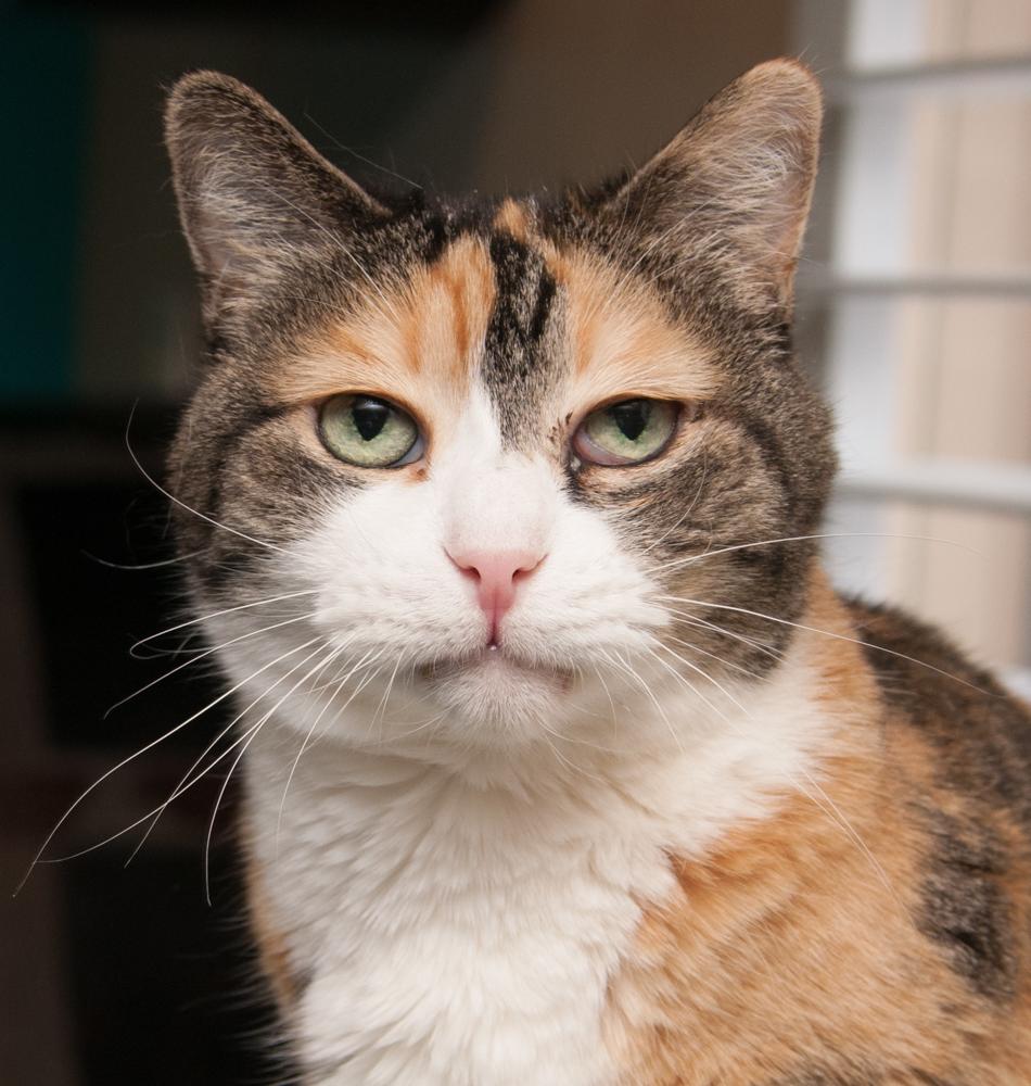 Magnolia, Senior Female unknown