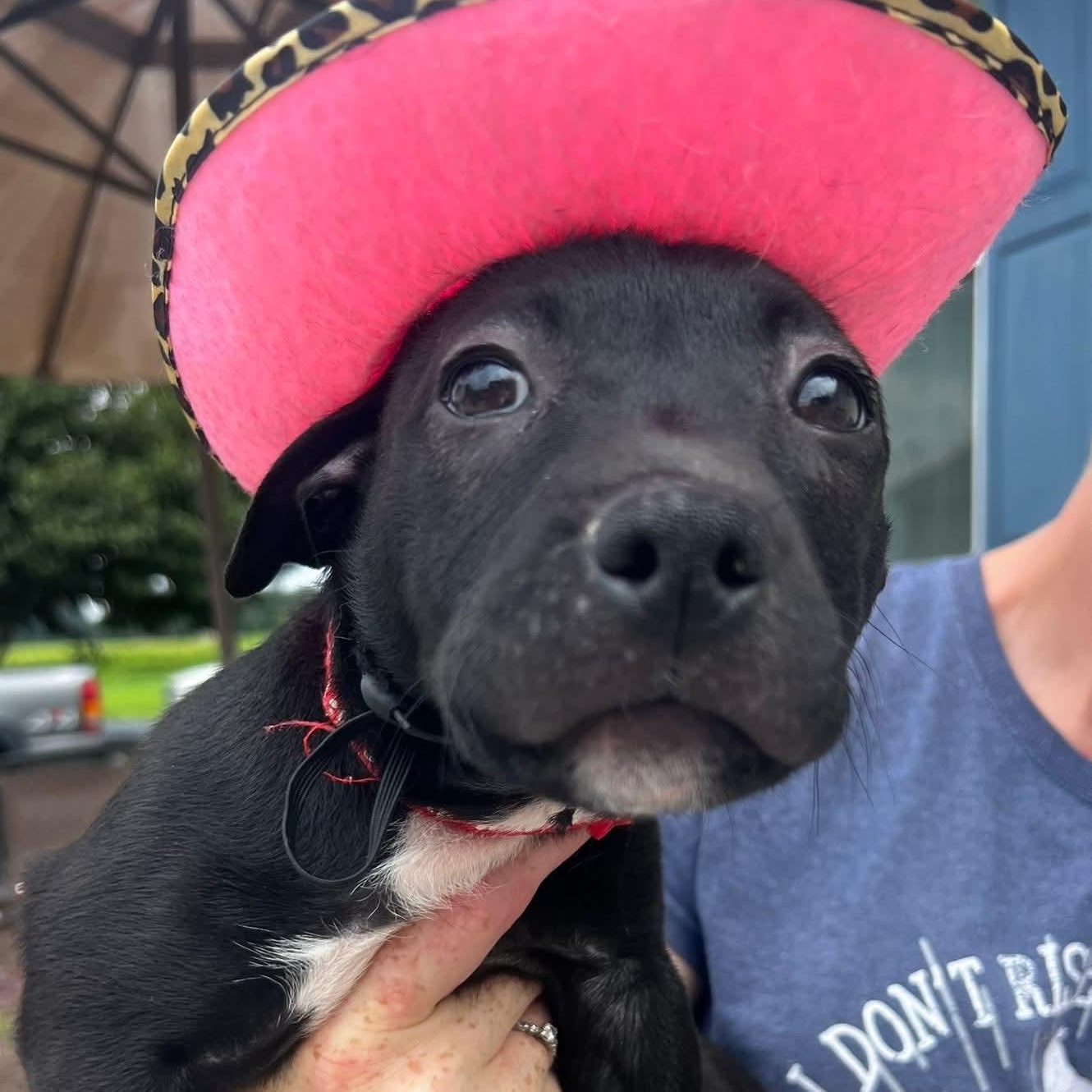 Rosie