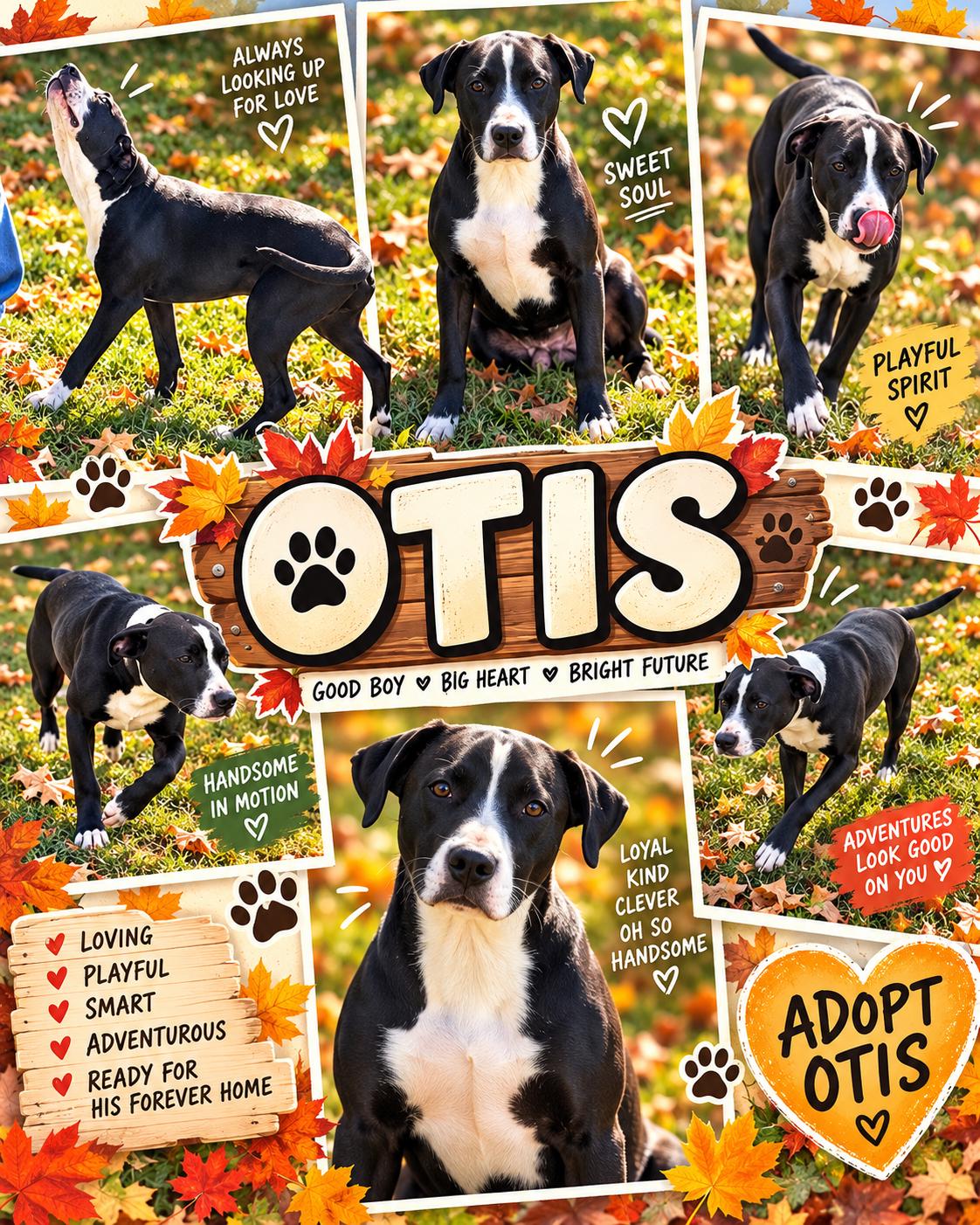 Otis photo