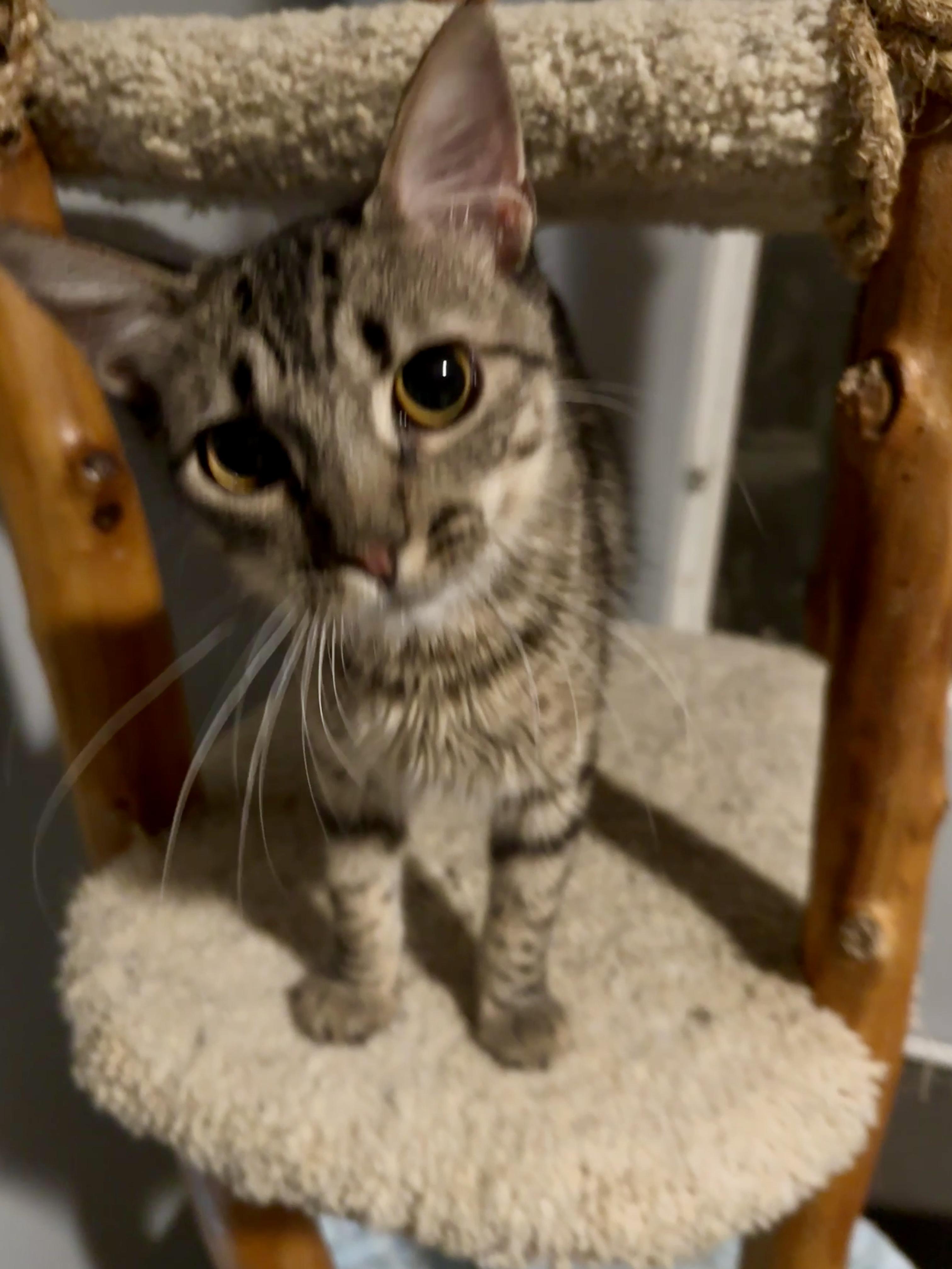 Lucy thumbnail 4