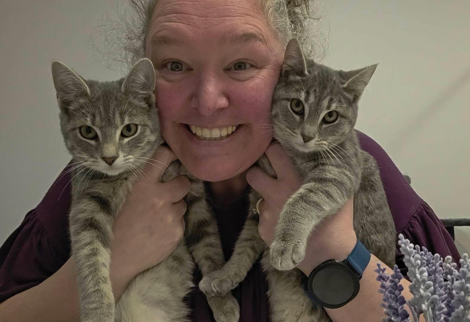 Enlarge TINKER & BELL. , a ADOPTABLE mixed breed in Manchester, CT image 5/6