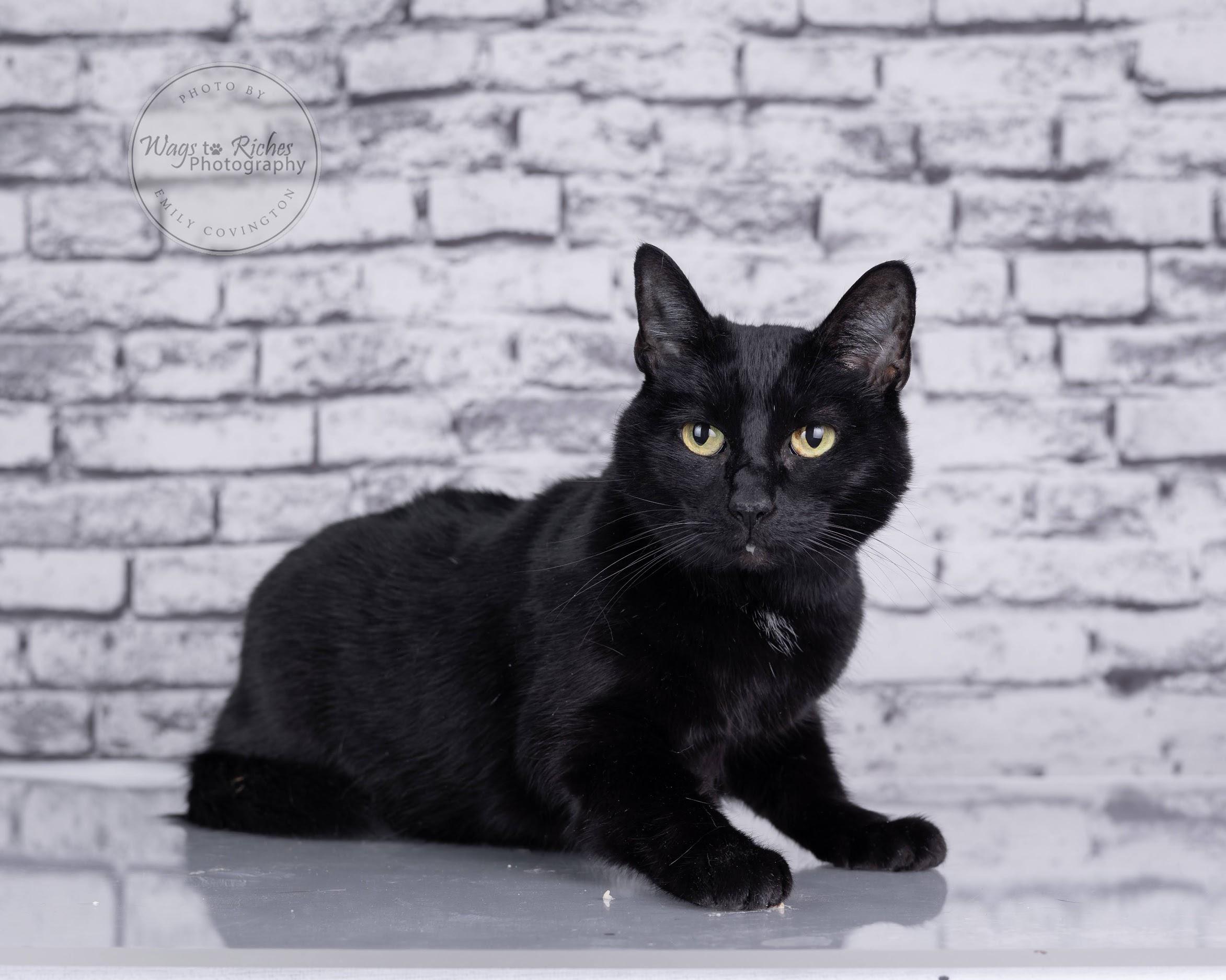 Wednesday — thumbnail 2