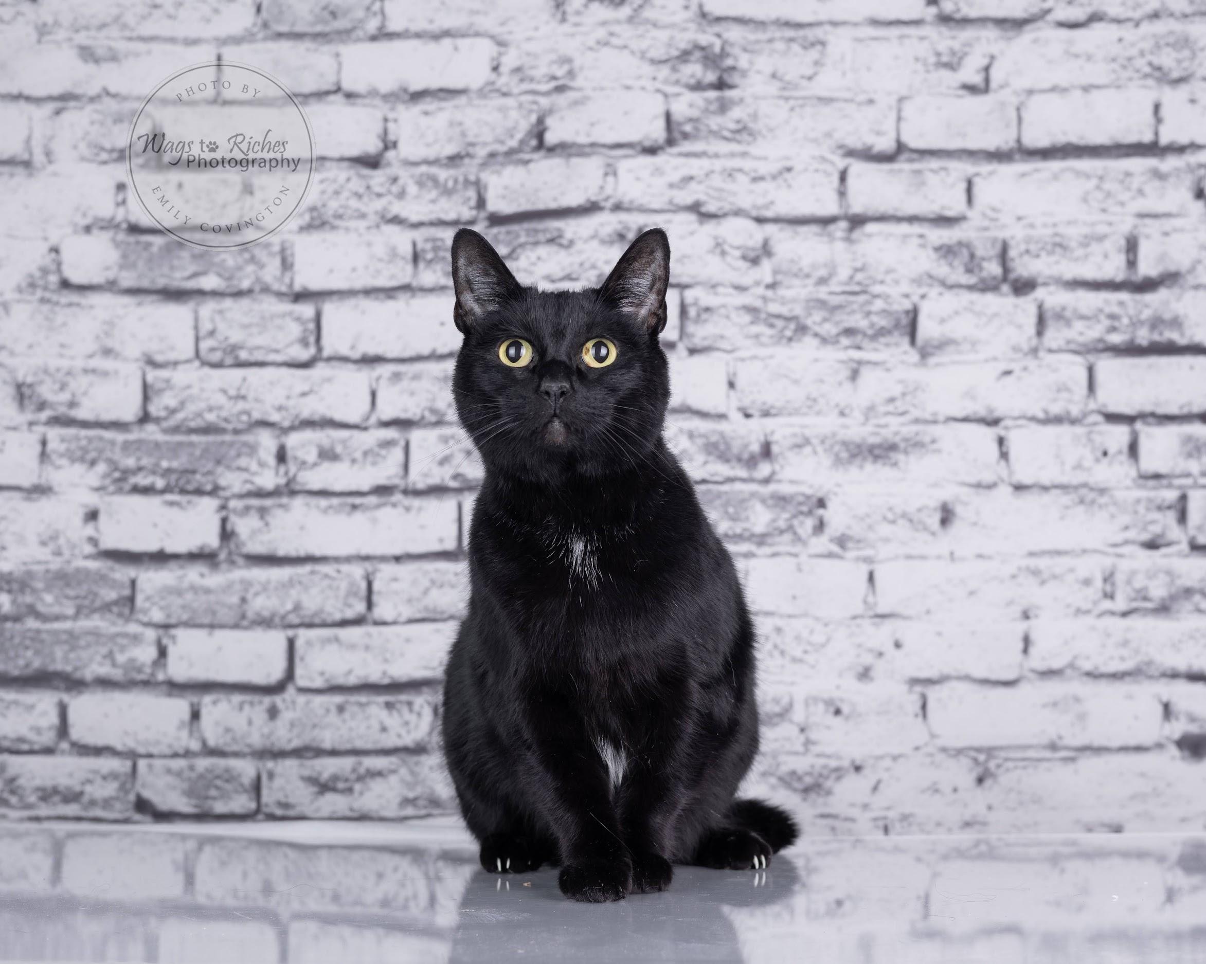 Wednesday — thumbnail 4