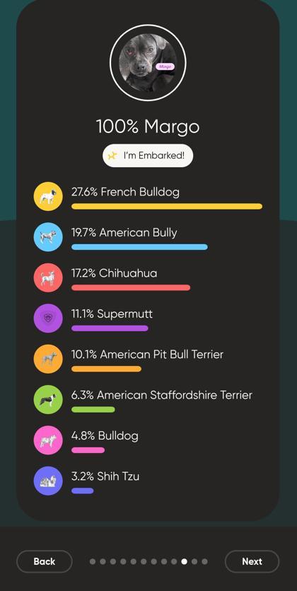 Enlarge Margo (Underdog in Foster), a Adoptable mixed breed in New Orleans, LA image 2/3