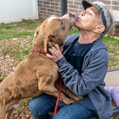 Albatross — thumbnail 2