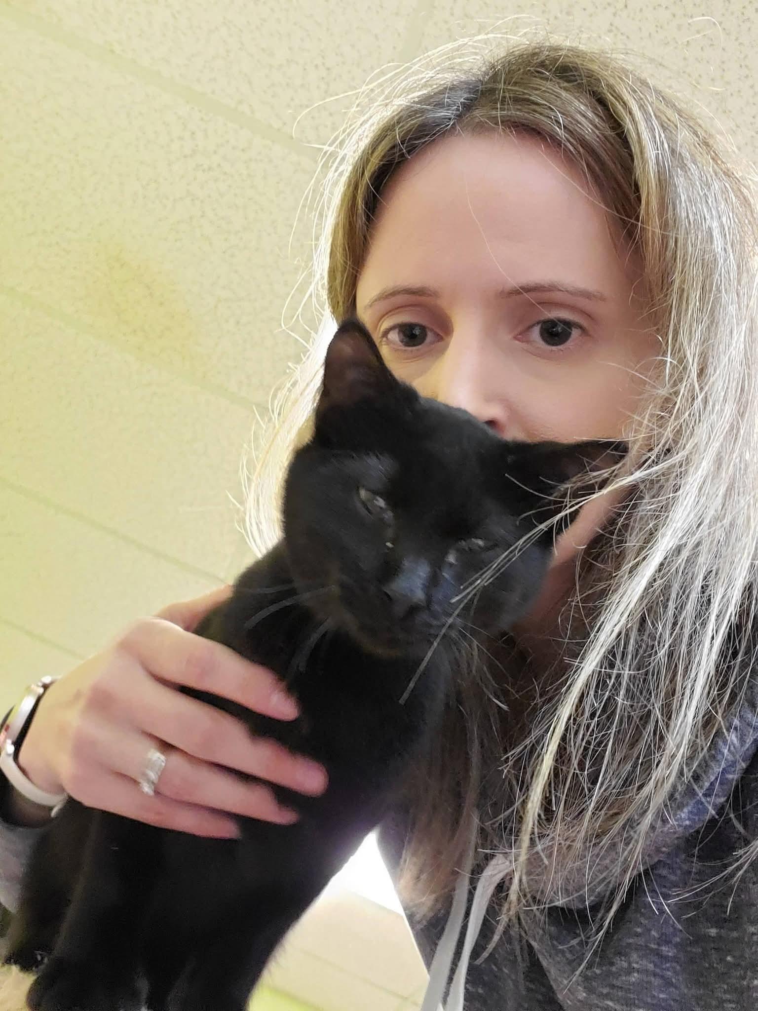 Casper & Wendell (available for adoption together or separately) — thumbnail 4