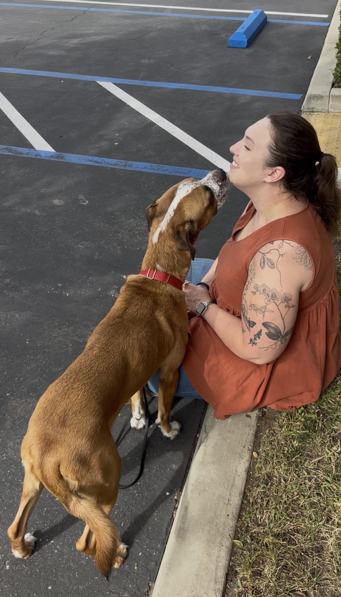 Cookie, an adopted mixed breed in Rancho Santa Margarita, CA image 5/6