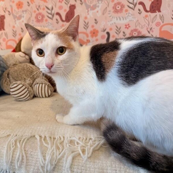 Chiquita Arredondo — thumbnail 2