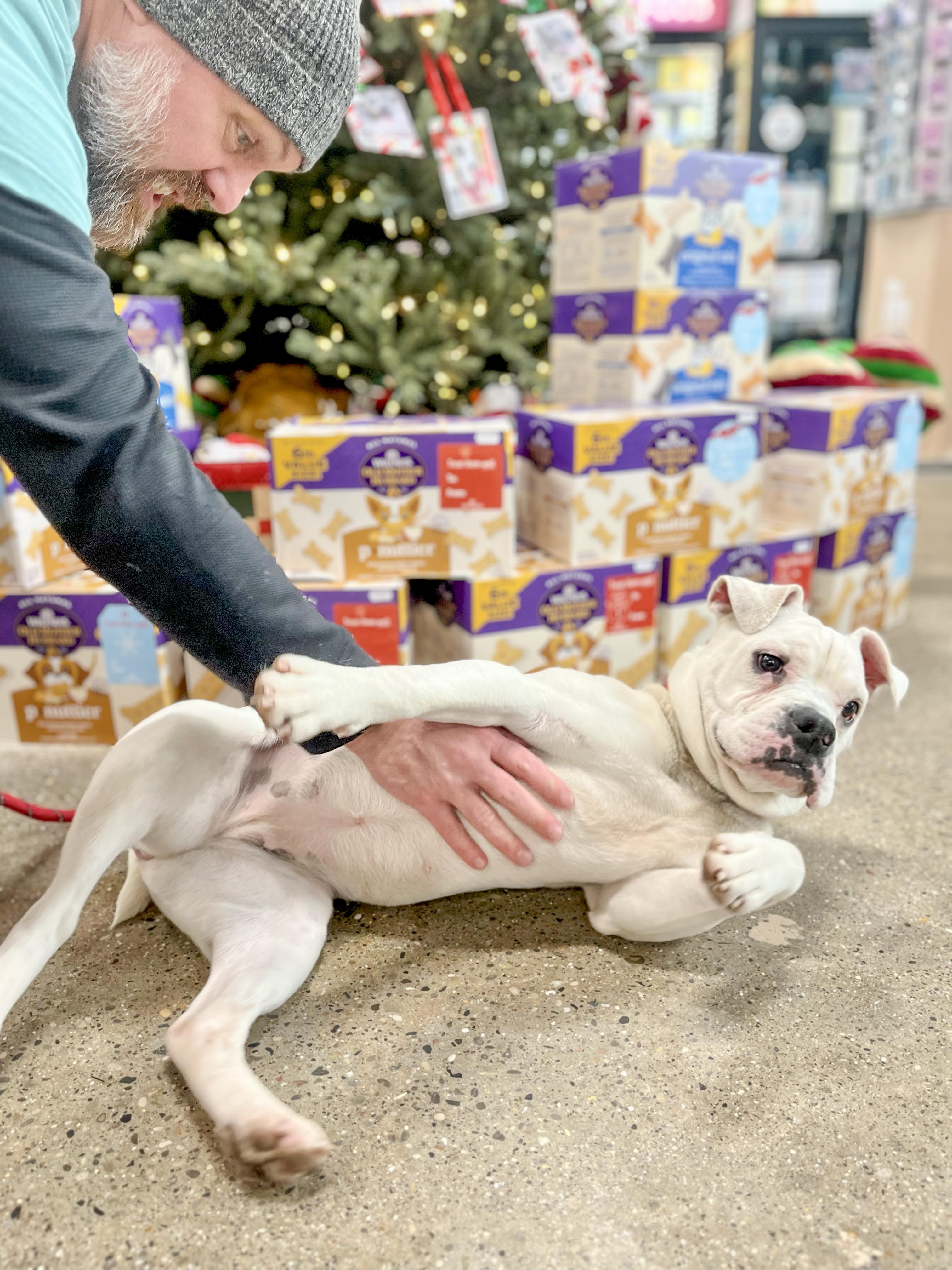 Quinn Needs A Forever thumbnail 3