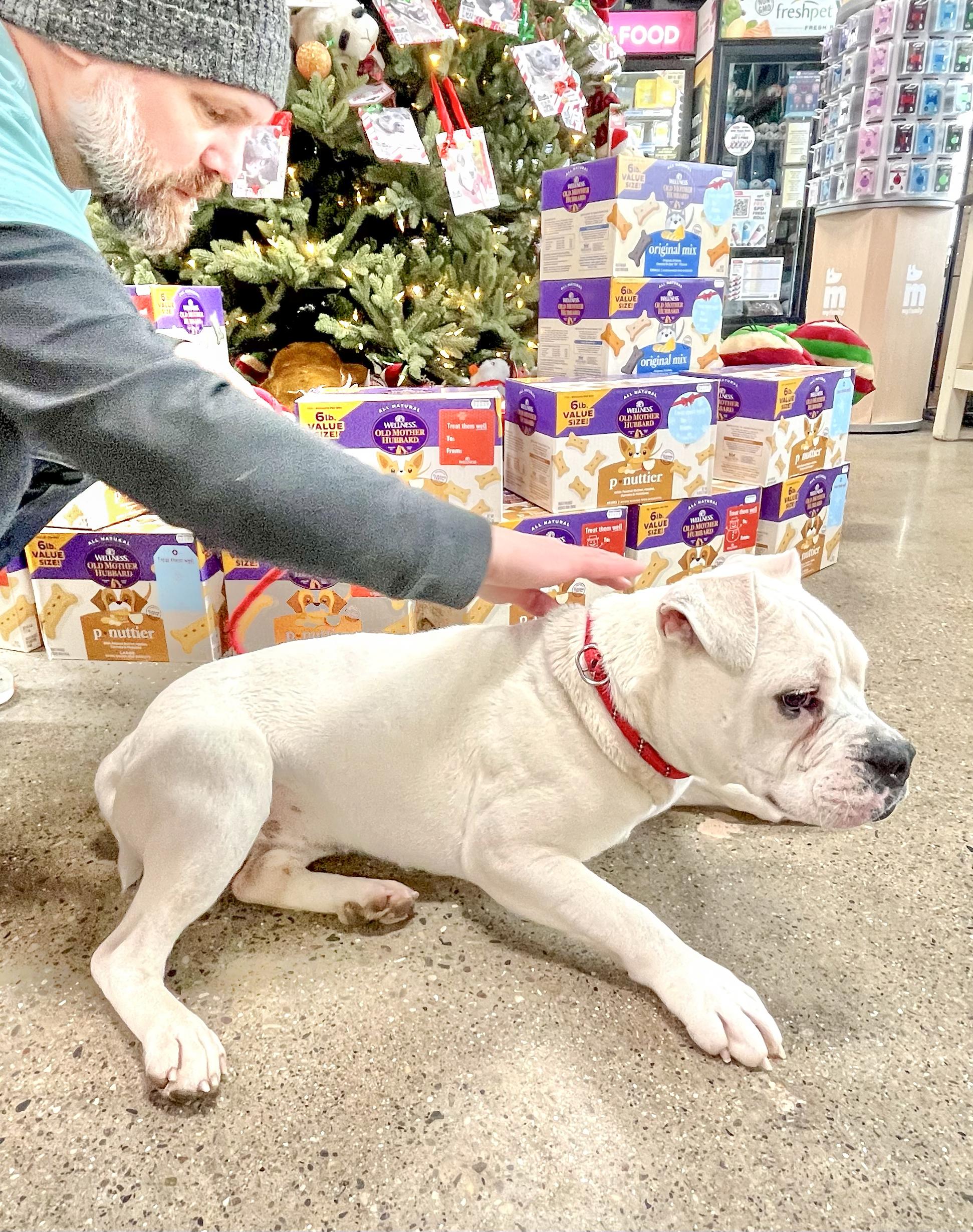 Quinn Needs A Forever thumbnail 4