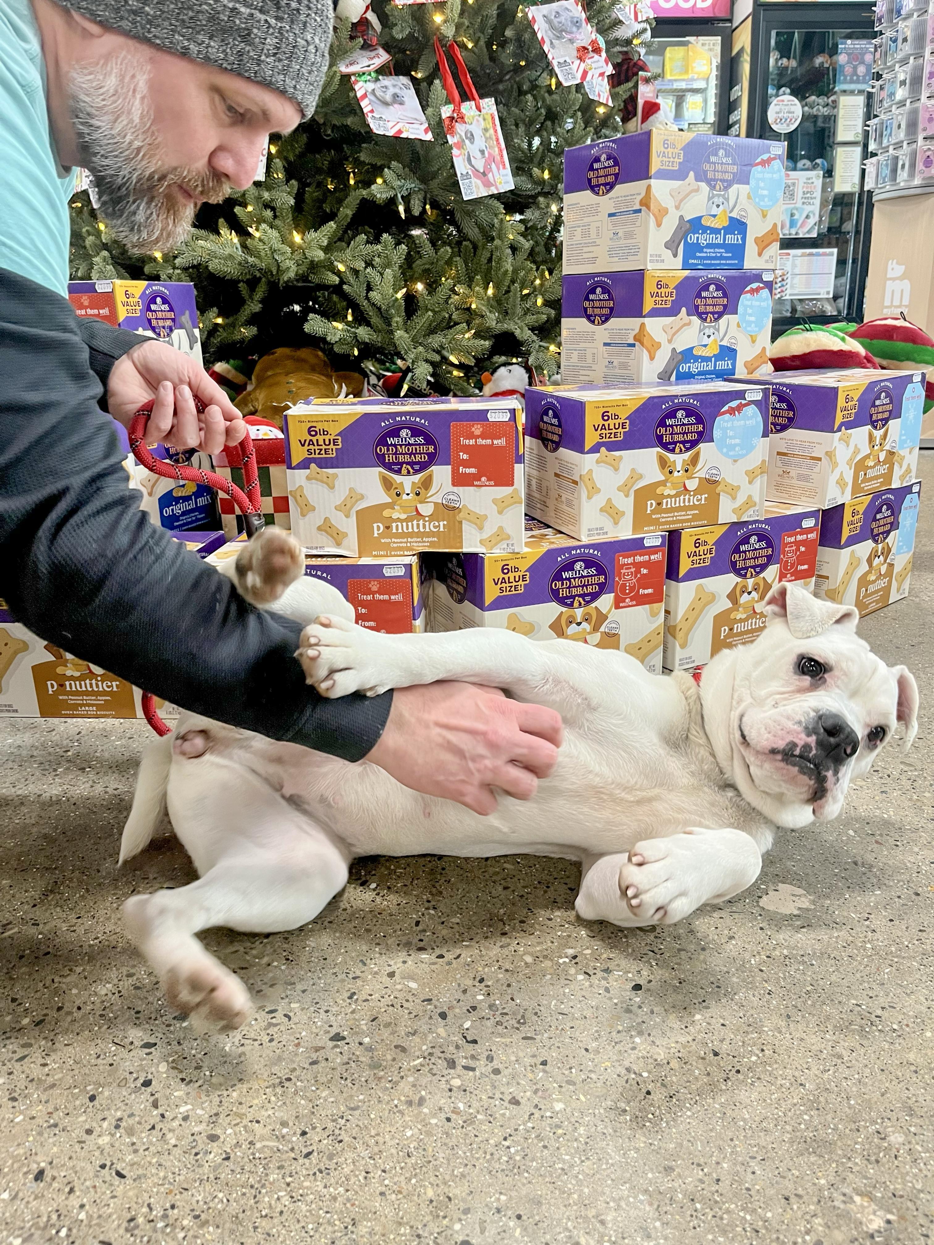 Quinn Needs A Forever thumbnail 6