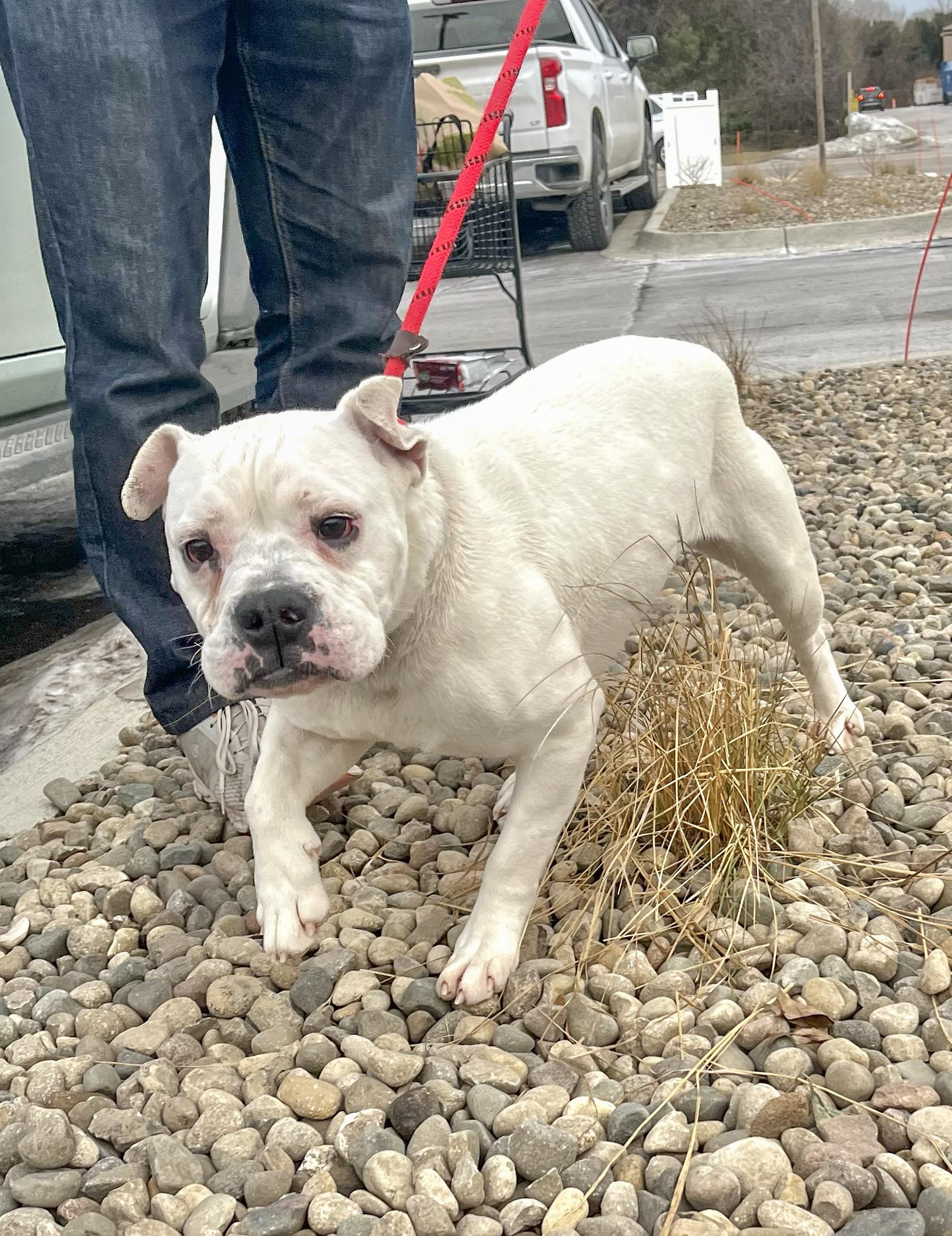 Quinn Needs A Forever thumbnail 7