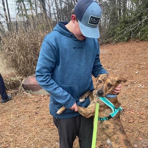 Enlarge Manny, a Adoptable Mixed Breed in Columbiana, AL image 2/6