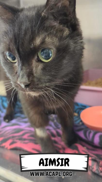 Aimsir — thumbnail 2