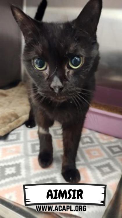 Aimsir — thumbnail 3