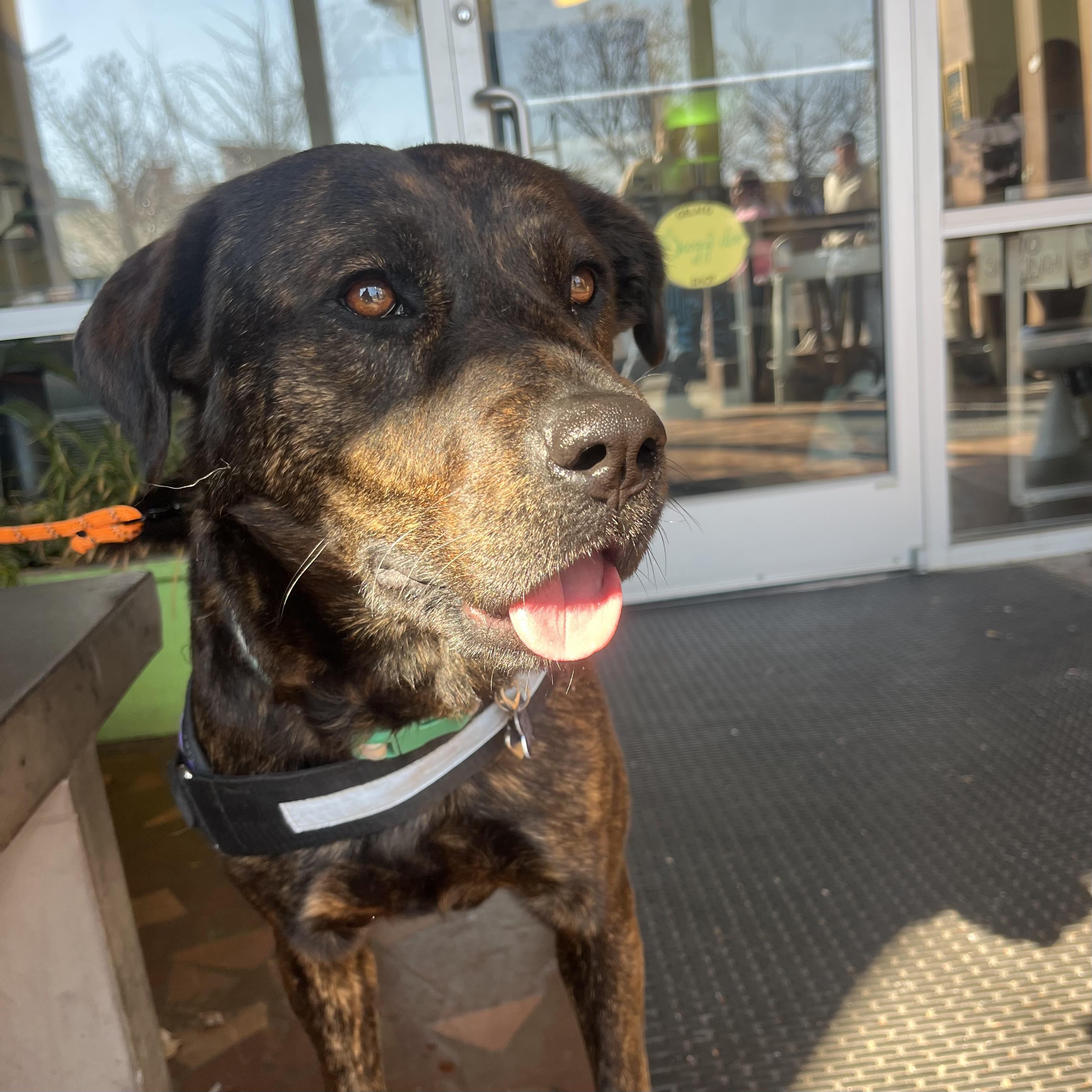 Orange Blossom — thumbnail 2