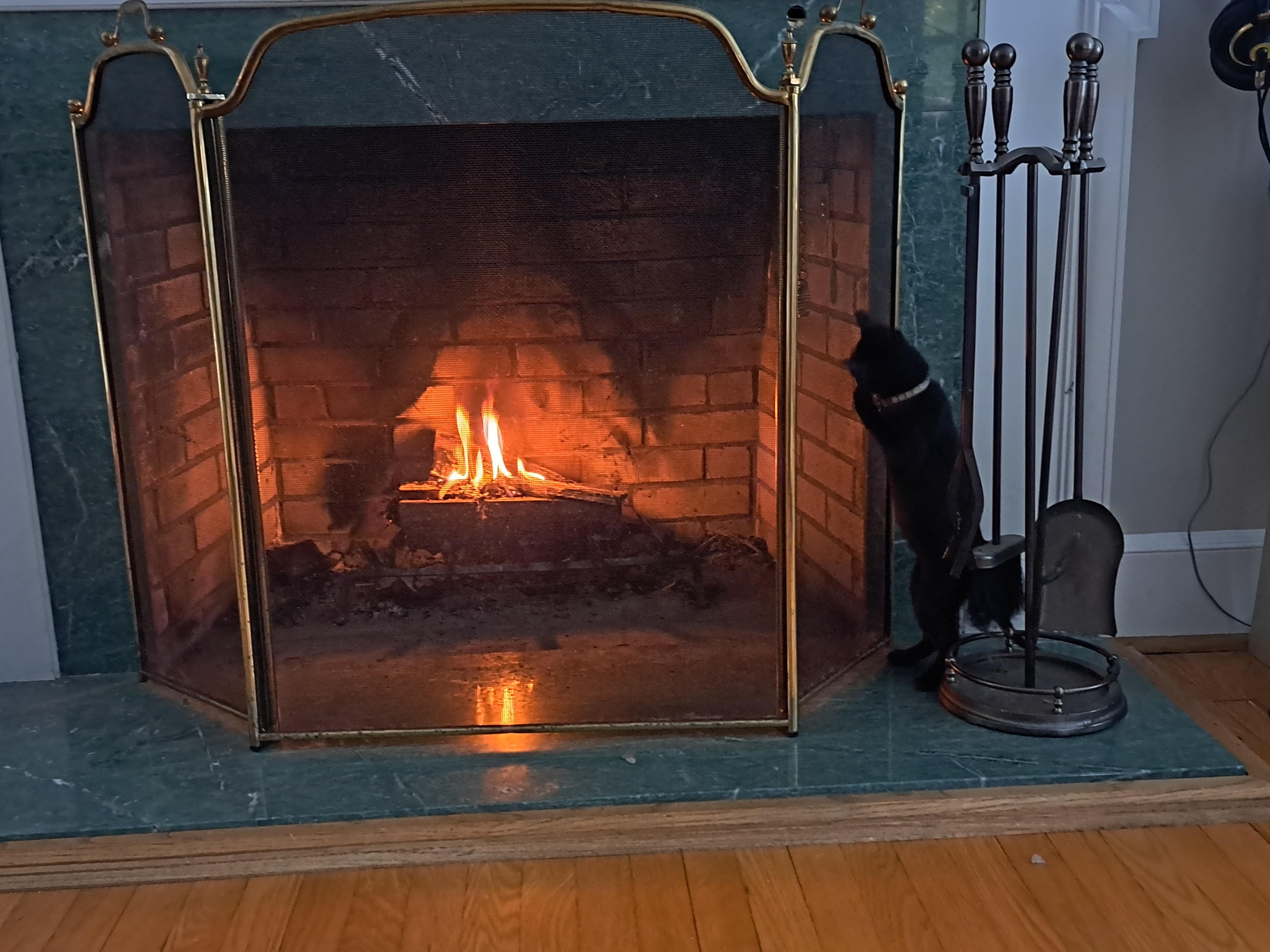 Ivy & Bean — thumbnail 3