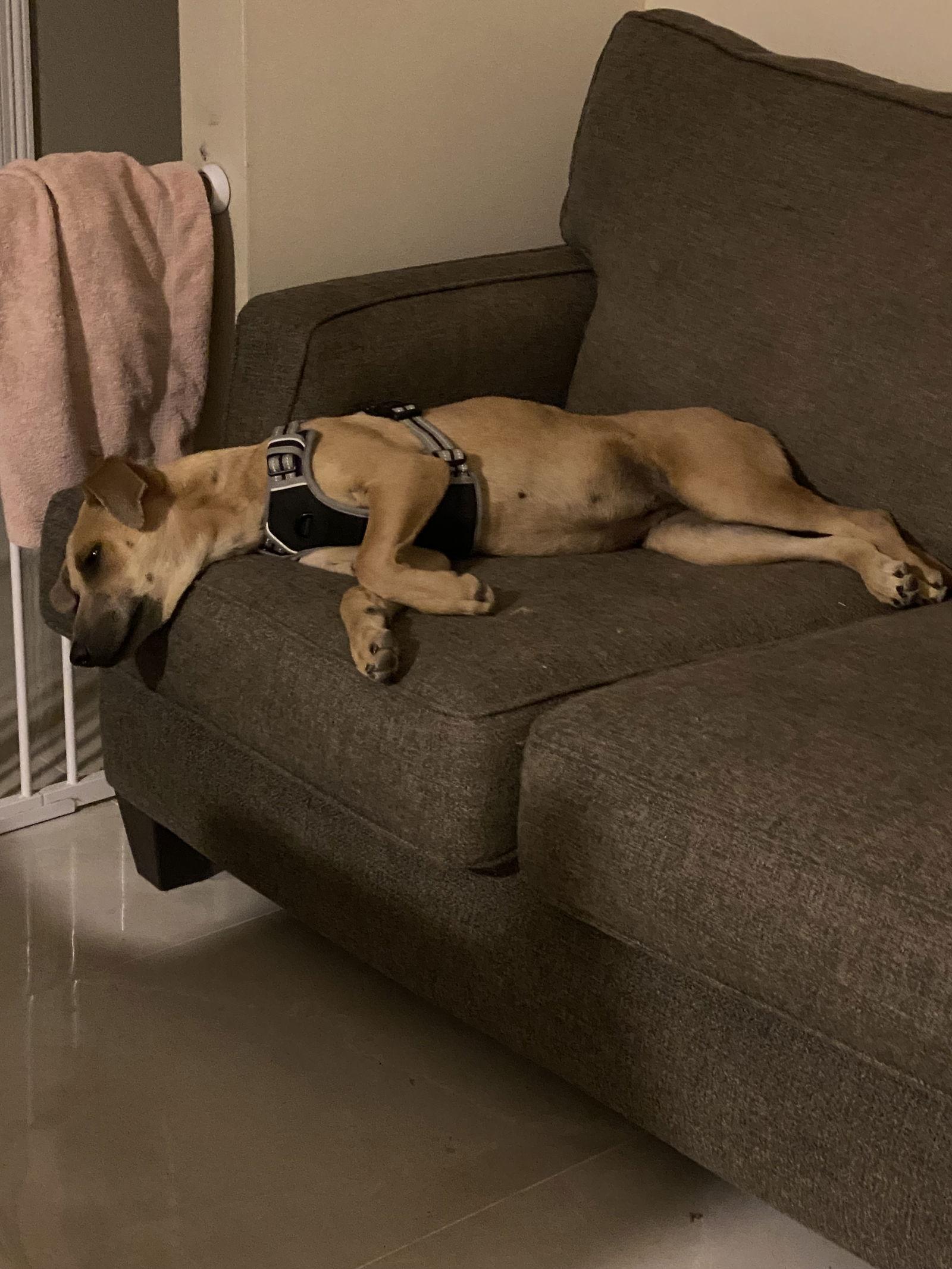 Luna Margarita thumbnail 2